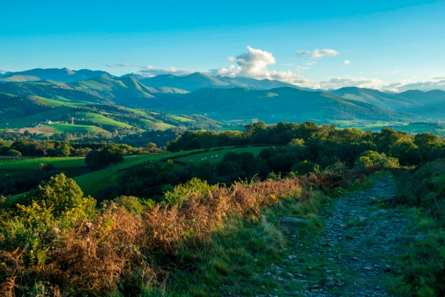 magnifique paysage de nature, région du Puy en Velay, chemin de randonnée qui s'éloigne à plat