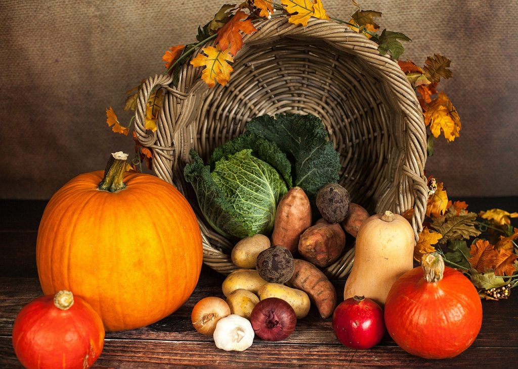 courge, chou, potiron, légumes d'automne